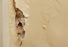 Dry Rot In Interior Wall