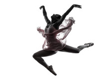 Woman  Ballerina Ballet Dancer Dancing Silhouette