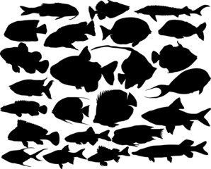 Vector fish silhouettes