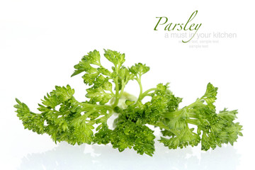 Parsley in macro shoot against white background