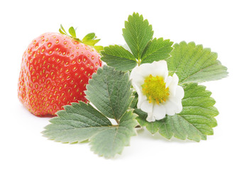 Wall Mural - Strawberry with leaves