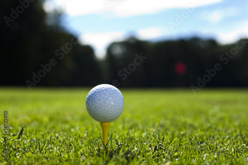 Obraz na płótnie canvas dwuczęściowy "dyptyk" Kij golfowy i piłka w trawie