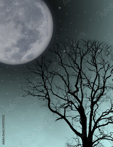  Fototapeta księżyc   ksiezyc-w-tle-drzewa