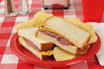 Wall Mural - Roast beef sandwich on a picnic table