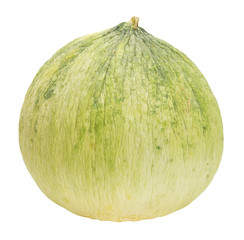 melon on a white background