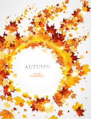 Wall Mural - beautiful autumnal background with leaves