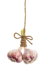 Sticker - hanging bundle of fresh spicy garlic