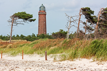 Wall Mural - Leuchtturm Darßer Ort mit Windflüchtern an der Ostsee