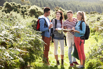 Wall Mural - Group Of Young People On Camping Trip In Countryside