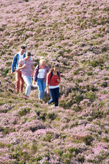 Wall Mural - Group Of Young People Hiking Through Countryside