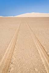 Sticker - Tire tracks in the sand