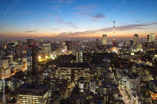 Naklejka na szybę Cityscape of Tokyo city at twilight