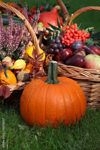 Plakat na papierze fotorealistycznym Halloween