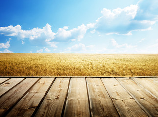 Poster - wooden floor and summer wheat field