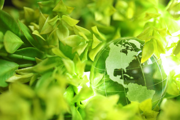 Wall Mural - glass globe in leaves
