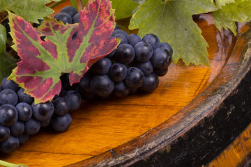 Glasses of wine and grapes on white