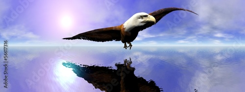 Board z aluminiowym obramowaniem American bald eagle - 3d render