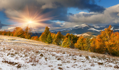 Wall Mural - Colorful autumn landscape in the mountains. First November snow