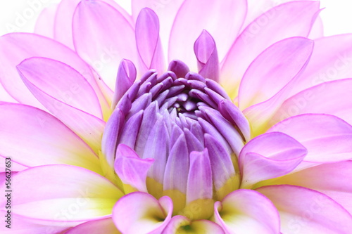 Board z aluminiowym obramowaniem Dahlia