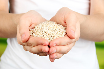 Poster - Wheat grain in female hands on natural background