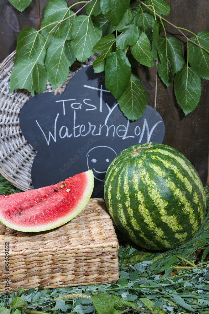 Ripe watermelon on grass near fence