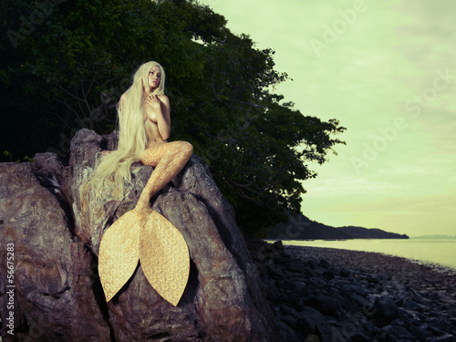 Naklejka na drzwi Beautiful mermaid sitting on rock