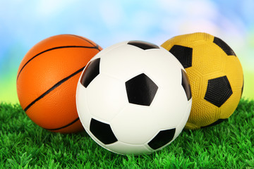 Wall Mural - Sport balls, on green grass, on bright background