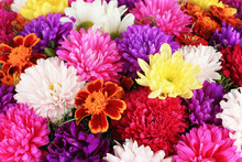 Beautiful Bouquet Of Chrysanthemums Close-up