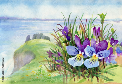 Naklejka na szybę Spring violet flowers on mountain