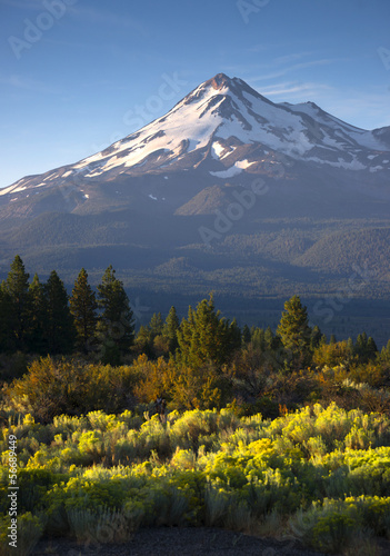 Fotoboard na płycie Sunrise light hits mount shasta cascade range california
