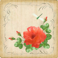 Wall Mural - Vintage flower dragonfly retro card border frame