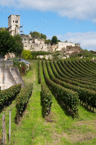 Obraz na płótnie canvas czteroczęściowy "tetraptyk" Winnica w Saint-Emilion, Francja