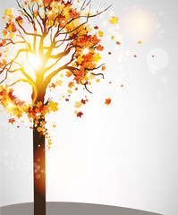 Wall Mural - autumn tree with beautiful leaves