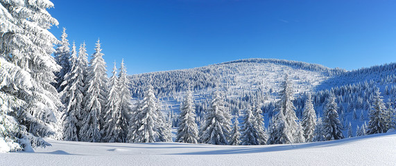 Wall Mural - Winter panorama