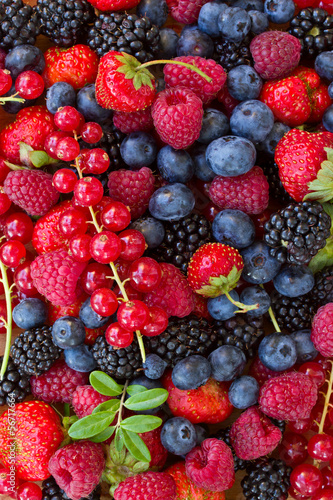 Naklejka na szybę bluberry, raspberry, blackberry and red currrunt