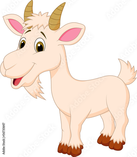 Obraz w ramie Goat cartoon character