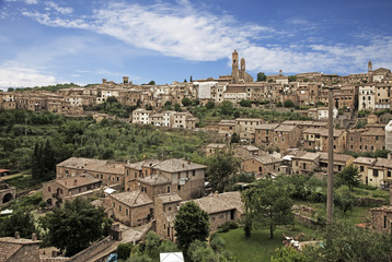 Fototapete - Montalcino. Tuscany, Italy
