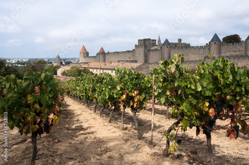 Obraz na płótnie canvas dwuczęściowy "dyptyk" Winnice i średniowieczne miasto Carcassonne (Francja)