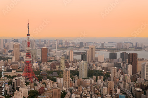Board z aluminiowym obramowaniem Wieża Tokyo