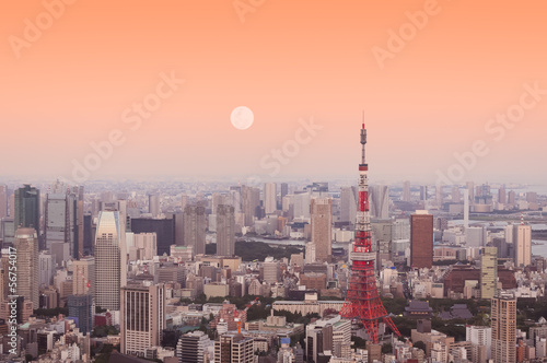 Board z aluminiowym obramowaniem Wieża Tokyo
