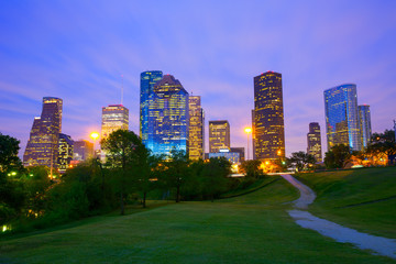 Wall Mural - Houston Texas modern skyline at sunset twilight from park