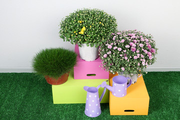 Sticker - Flowers in pots with boxes and watering cans