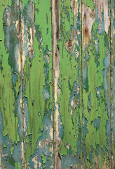 Wall Mural - Green and blue color peeling paint texture wooden fence.