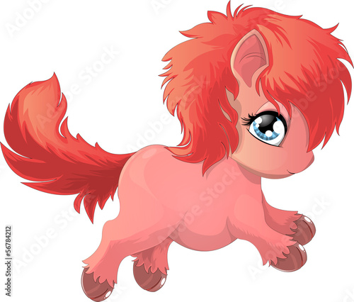 Jalousie-Rollo - pony (von andryuha1981)