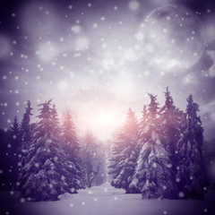 Beautiful winter landscape with Christmass trees