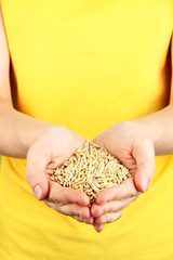 Sticker - Wheat grain in female hands close-up