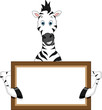 cute zebra cartoon with blank sign