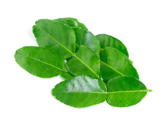 kaffir lime leaves