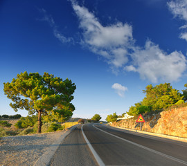 Canvas Print - Mountain asphalt road.