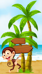 Wall Mural - A beach with a playful monkey near the palm trees